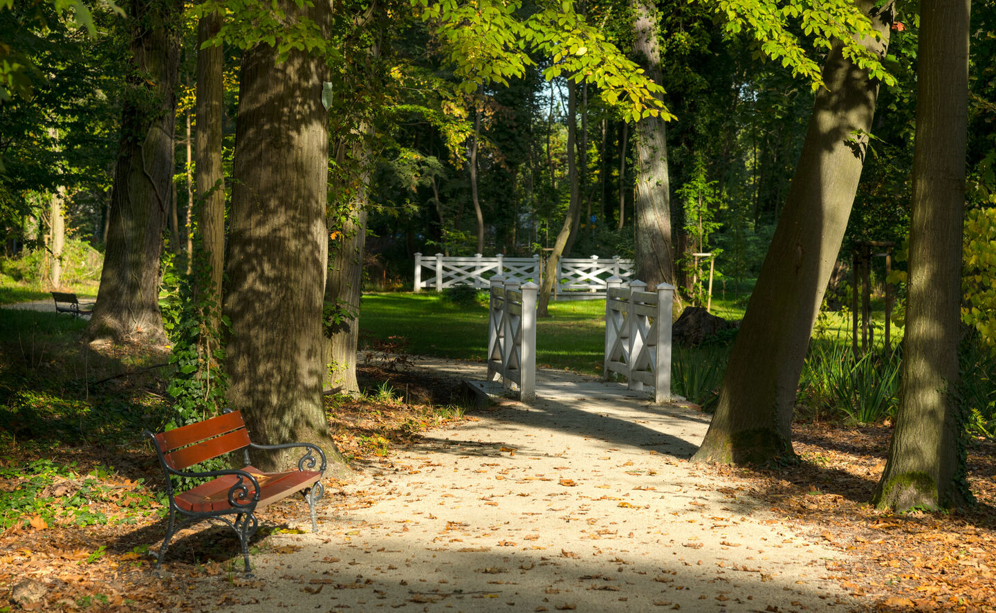 Wei&beta;e Br&uuml;ckchen auf dem Gro&beta;en Teich, &copy; Leo Seidel